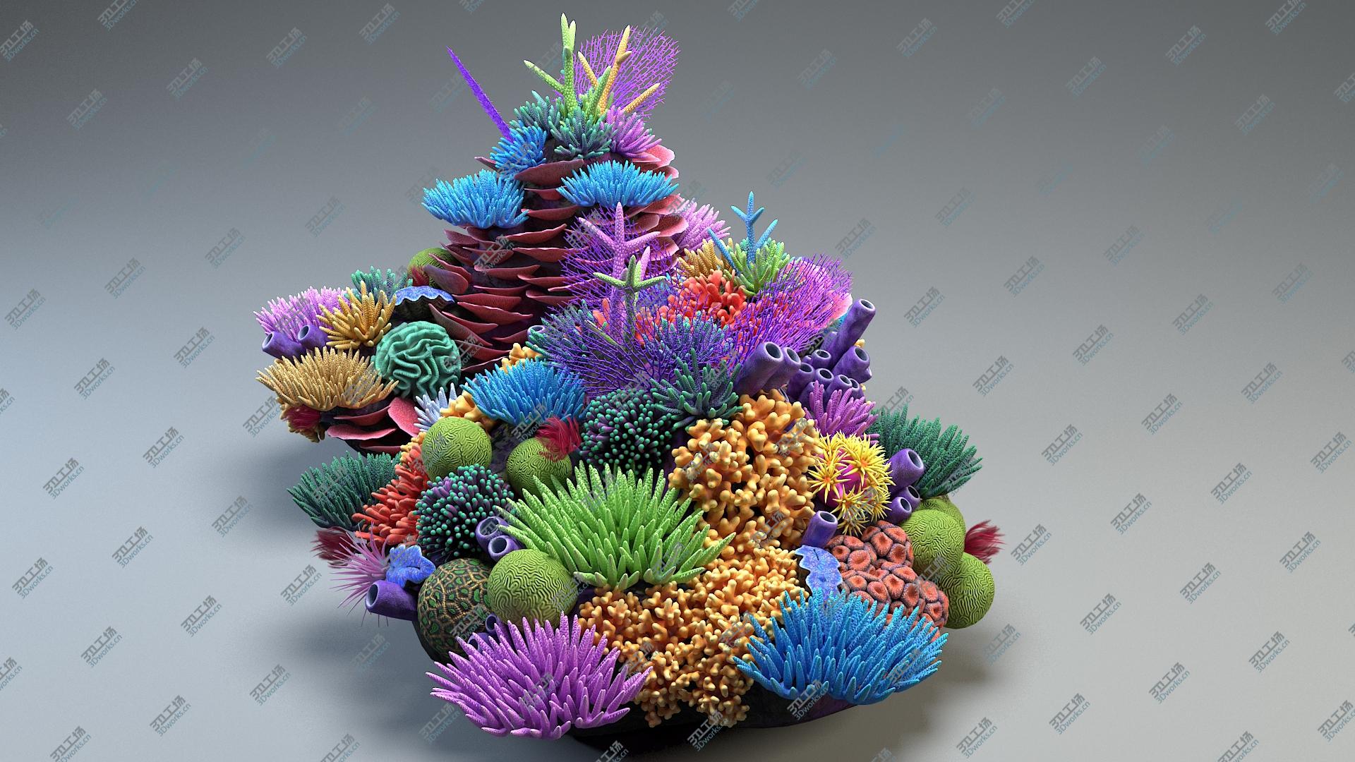 images/goods_img/202104092/Coral Reef 03 3D/4.jpg